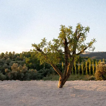 Habitacio El Graner Casa de vacances Rasquera